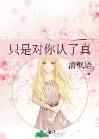 只是对你认了真番外