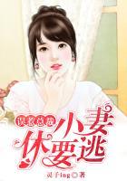 总裁大人我错了