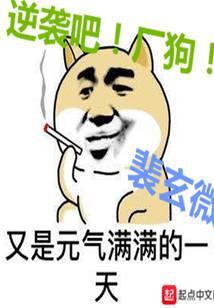 逆袭的厂狗