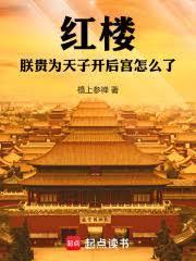 朕贵为天子所乏者非财也翻译