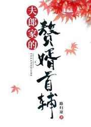 夫郎家的赘婿首辅讲的什么