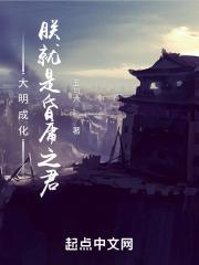 大明成化朕就是昏庸之君免费