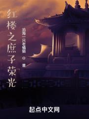 红楼之庶子荣光免费阅读