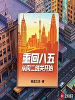 重回58做电商免费阅读