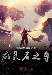 龙之尊者 336万