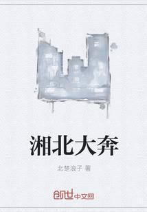 湘北最后进入全国大赛了吗