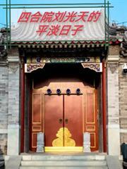 四合院我是刘光天三百零八章