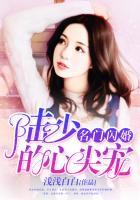名门闪婚陆少的心尖宠免费阅读全文