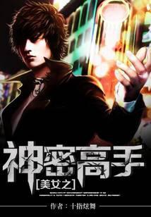 路人甲不想做神秘高手