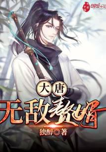 大唐无敌赘婿 独醉
