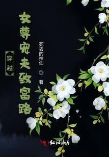 穿越女尊宠夫记