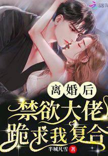 离婚后大佬为我神魂颠倒免费阅读