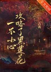 一不小心攻略了黑莲花晋江