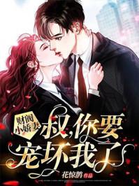 叔他宠妻上瘾全文免费阅读