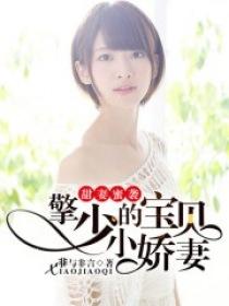 甜妻来袭擎少的小宝贝
