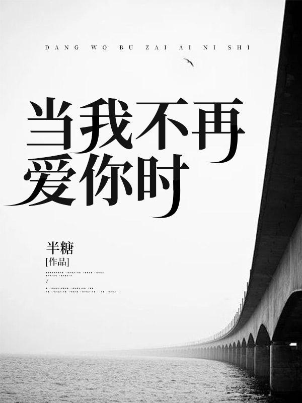 当你不再爱我另类词