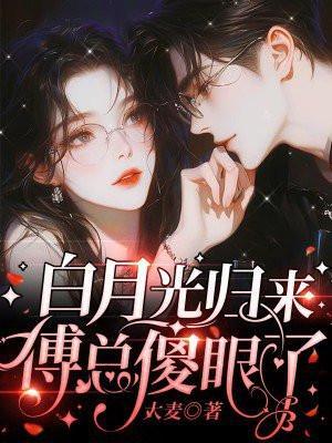 白月光归来后无防盗