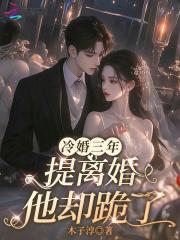 离婚冷妻总裁追妻路免费无弹窗