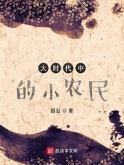 大时代中的小农民TXT