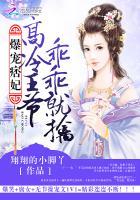 爆宠痞妃殿下乖乖就寝410