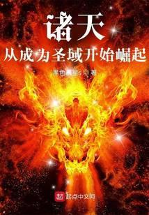 诸天:从成为圣域开始崛起