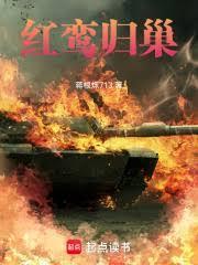 谍战：红鸞归巢