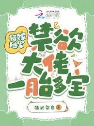 错嫁随军,禁欲大佬宠妻上癮