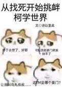 从找死开始挑衅柯学世界