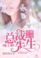 潜婚蜜爱：总裁先生晚上聊