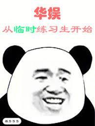 华娱从临时练习生开始