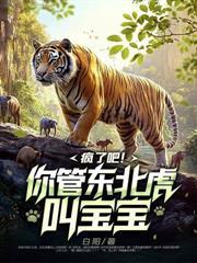 四合院：我靠神级加点逆袭